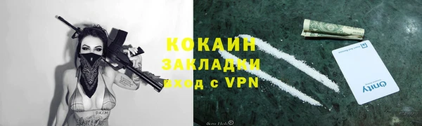 ешки Новозыбков