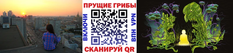 Псилоцибиновые грибы ЛСД  наркота  кракен зеркало  Суоярви 
